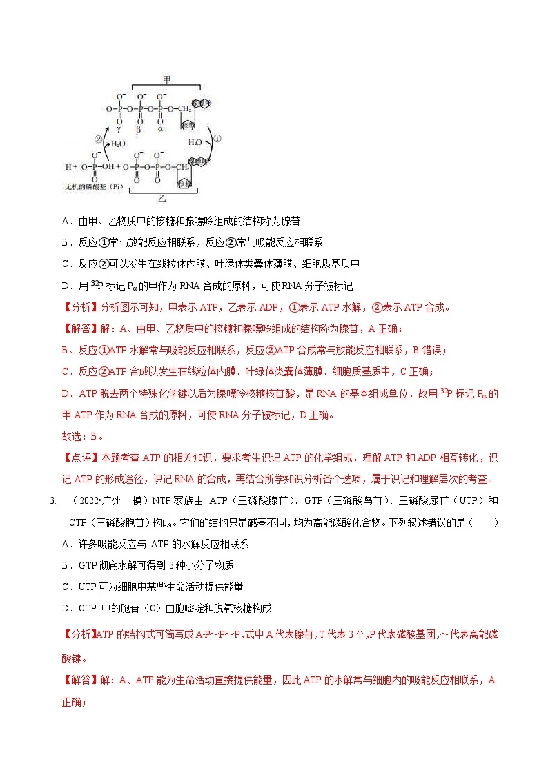 新高考生物二轮复习讲练测第3讲 酶和ATP（检测）（含解析）02