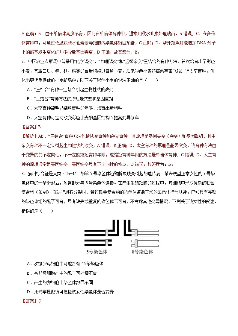 新高考生物一轮复习单元滚动检测第七单元 生物的变异与进化( 新题基础练)(含解析)03