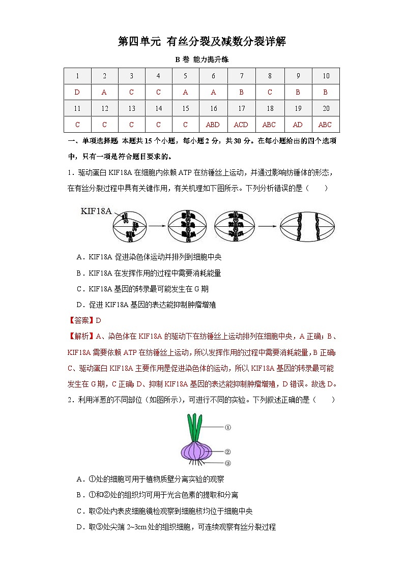新高考生物一轮复习单元滚动检测第四单元 有丝分裂及减数分裂详解( 能力提升练)(含解析)01
