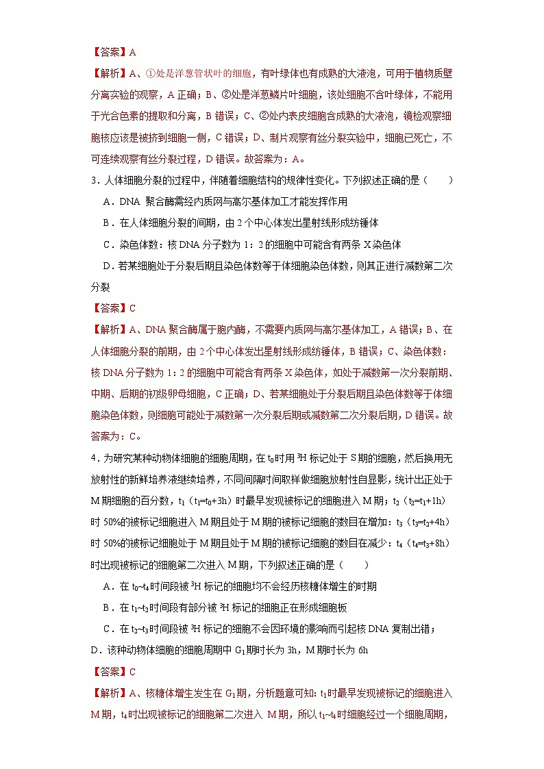 新高考生物一轮复习单元滚动检测第四单元 有丝分裂及减数分裂详解( 能力提升练)(含解析)02