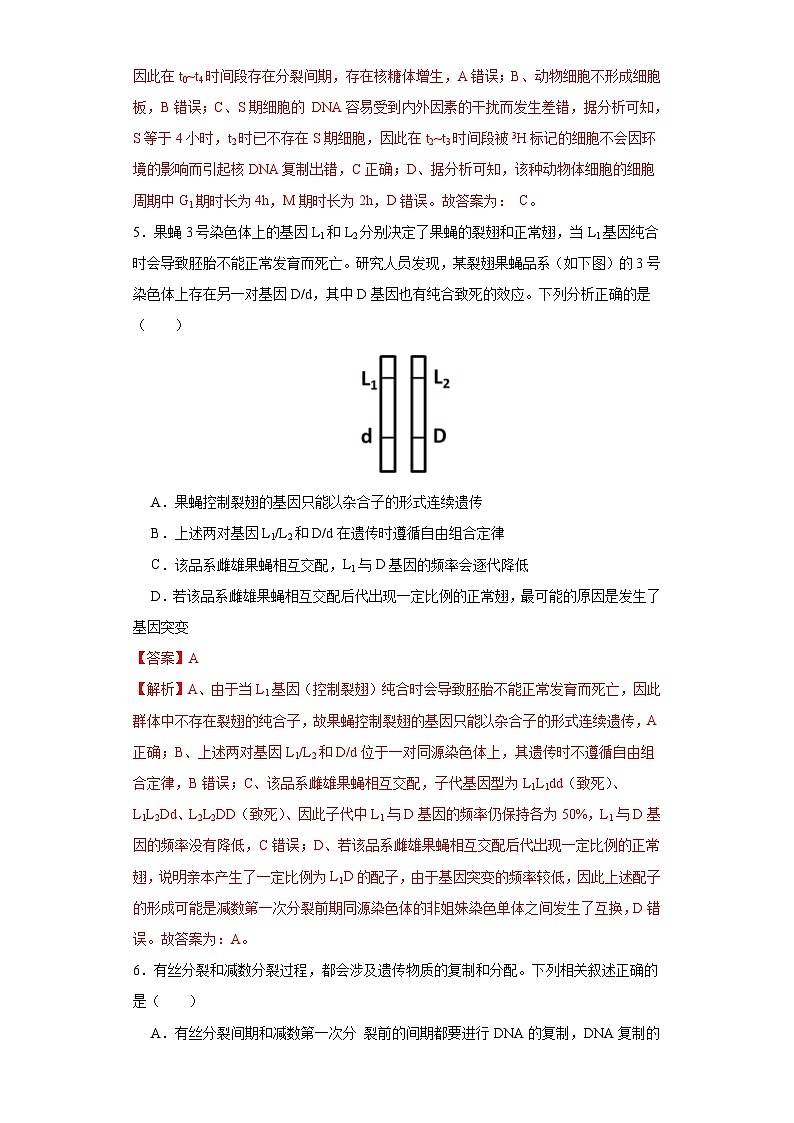 新高考生物一轮复习单元滚动检测第四单元 有丝分裂及减数分裂详解( 能力提升练)(含解析)03