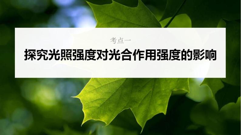 新高考生物一轮复习核心考点练习课件第15讲 光合作用的影响因素及其应用（含解析）05