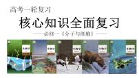 新高考生物一轮复习核心考点练习课件第16讲 细胞增殖（含解析）