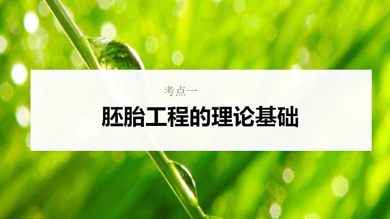 新高考生物一轮复习核心考点练习课件第56讲+胚胎工程(含解析)05