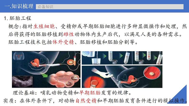 新高考生物一轮复习核心考点练习课件第56讲+胚胎工程(含解析)06