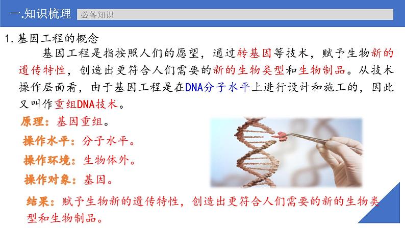 新高考生物一轮复习核心考点练习课件第57讲+基因工程的基本工具和基本操作程序(含解析)第7页