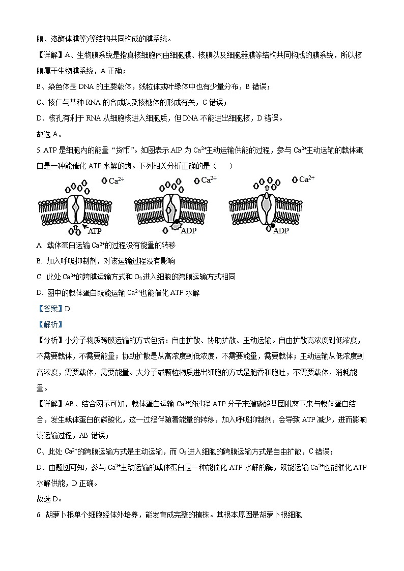 四川省南充高级中学2023-2024学年高二生物上学期10月月考试题(Word版附解析)第3页