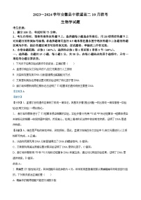 安徽省县中联盟2023-2024学年高二生物上学期10月联考试题（Word版附解析）