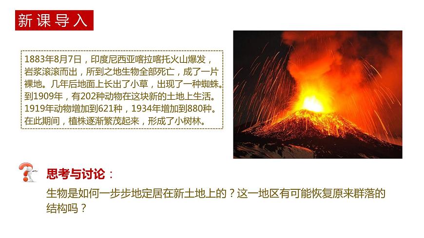 第三節(jié) 群落的演替講義第2頁