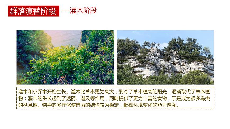 第三節(jié) 群落的演替講義第8頁