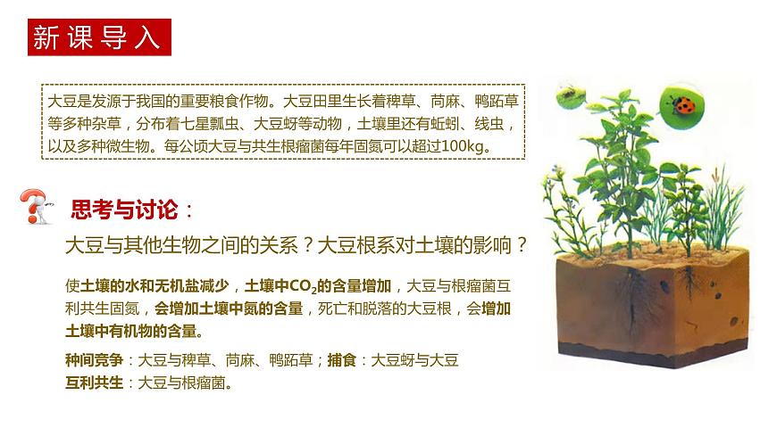 第一節(jié) 生態(tài)系統(tǒng)的結(jié)構(gòu)講義第2頁(yè)
