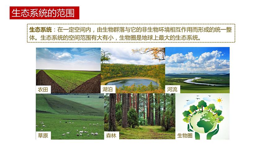 第一節(jié) 生態(tài)系統(tǒng)的結(jié)構(gòu)講義第3頁(yè)