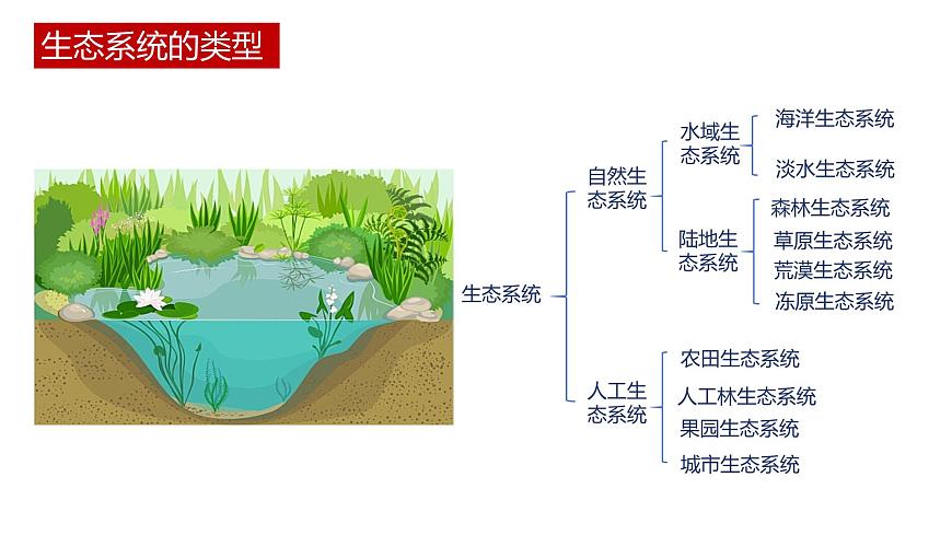 第一節(jié) 生態(tài)系統(tǒng)的結(jié)構(gòu)講義第4頁(yè)