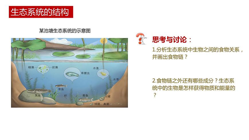 第一節(jié) 生態(tài)系統(tǒng)的結(jié)構(gòu)講義第6頁(yè)