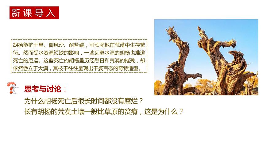 第三節(jié) 生態(tài)系統(tǒng)的物質(zhì)循環(huán)講義第2頁(yè)