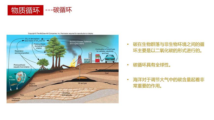 第三節(jié) 生態(tài)系統(tǒng)的物質(zhì)循環(huán)講義第5頁(yè)