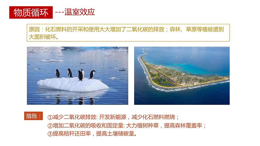 第三節(jié) 生態(tài)系統(tǒng)的物質(zhì)循環(huán)講義第6頁(yè)