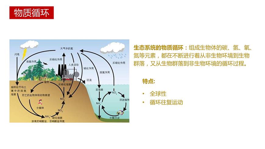 第三節(jié) 生態(tài)系統(tǒng)的物質(zhì)循環(huán)講義第7頁(yè)