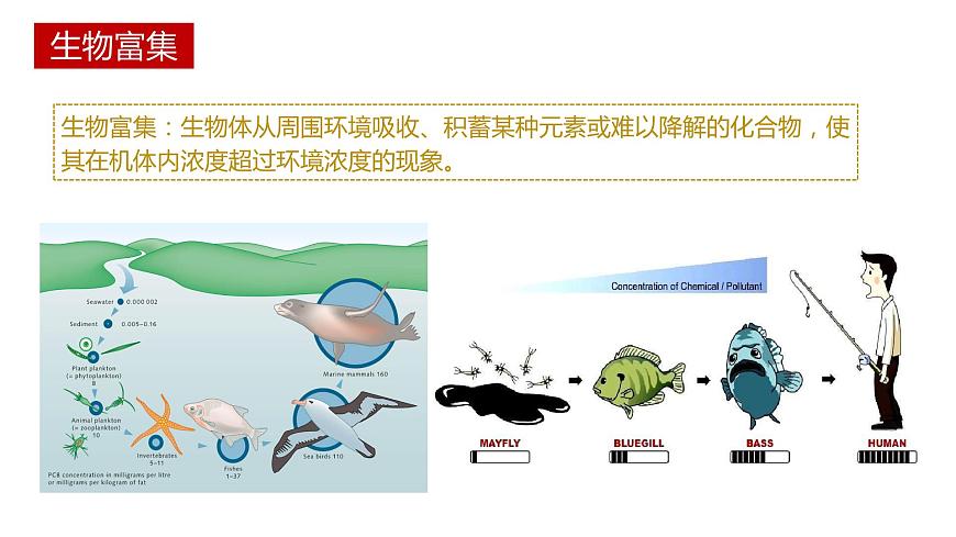 第三節(jié) 生態(tài)系統(tǒng)的物質(zhì)循環(huán)講義第8頁(yè)