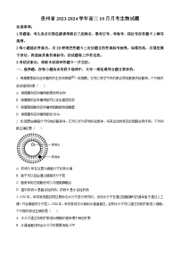 贵州省贵阳市第一中学2024届高三上学期适应性月考（二）生物试题