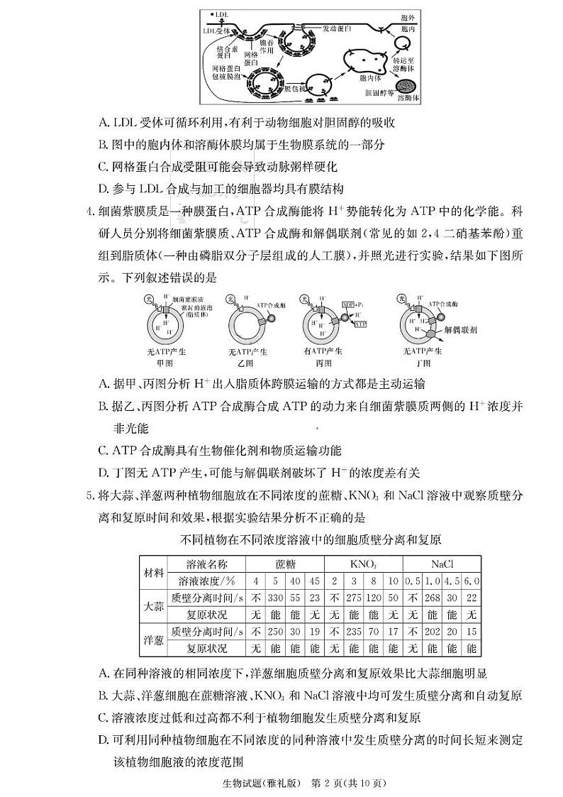 湖南省雅礼中学2023-2024学年高三上学期月考(二)生物第2页