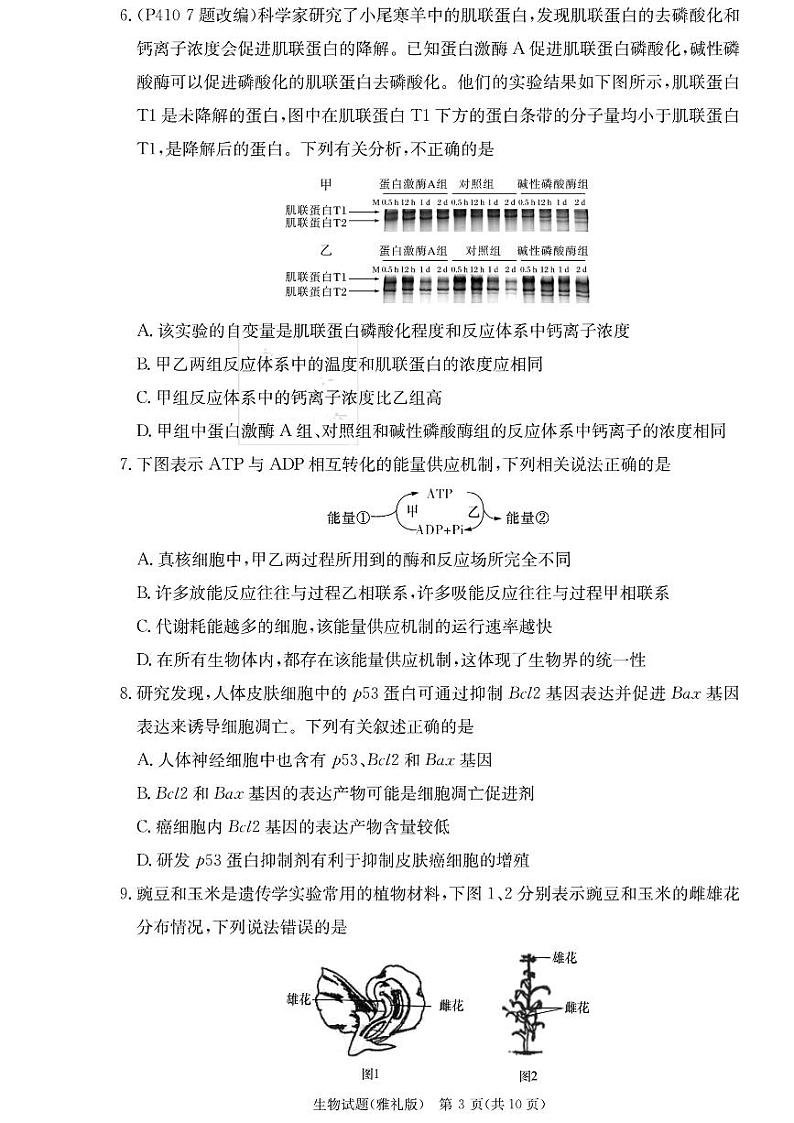 湖南省雅礼中学2023-2024学年高三上学期月考(二)生物第3页