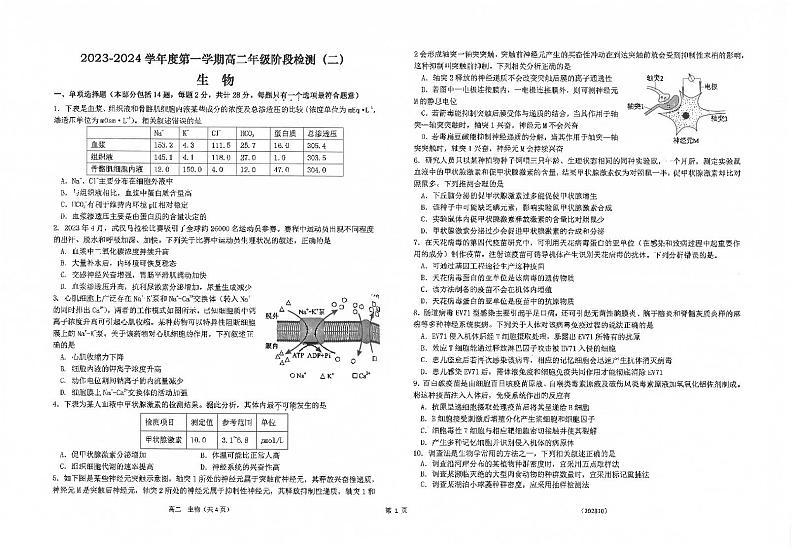 江苏省海安高级中学2023-2024学年高二生物上学期10月阶段检测(二)(PDF版附答案)第1页