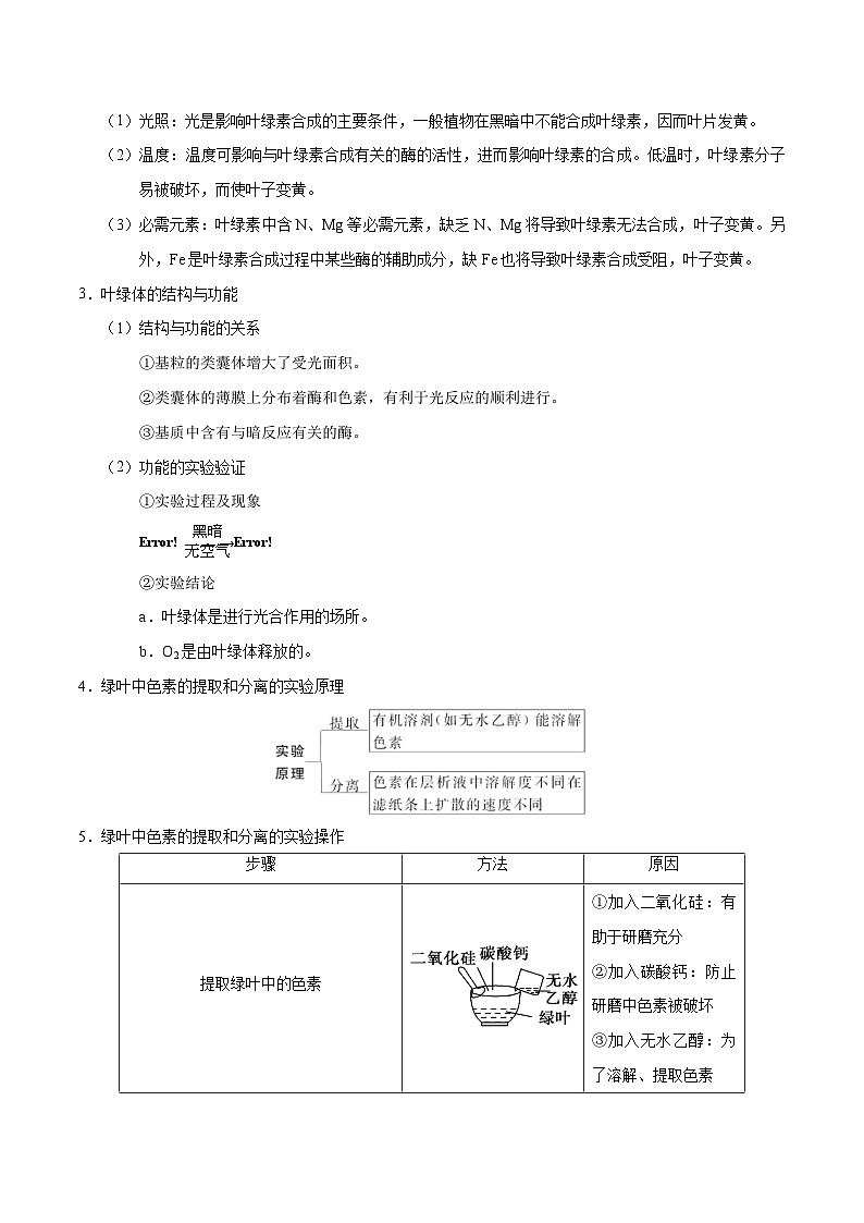 新高考生物二轮复习讲义06 能量之源——光与光合作用(含解析)第2页