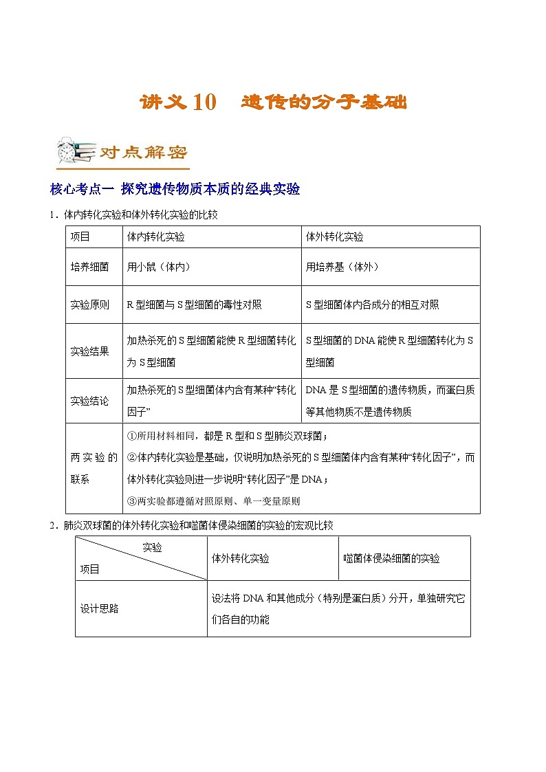 新高考生物二轮复习讲义10 遗传的分子基础(含解析)第1页