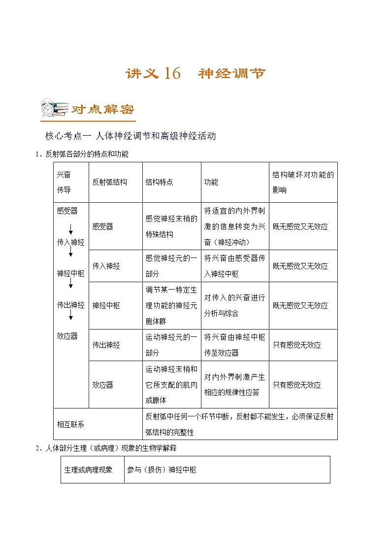 新高考生物二轮复习讲义16 神经调节(含解析)第1页