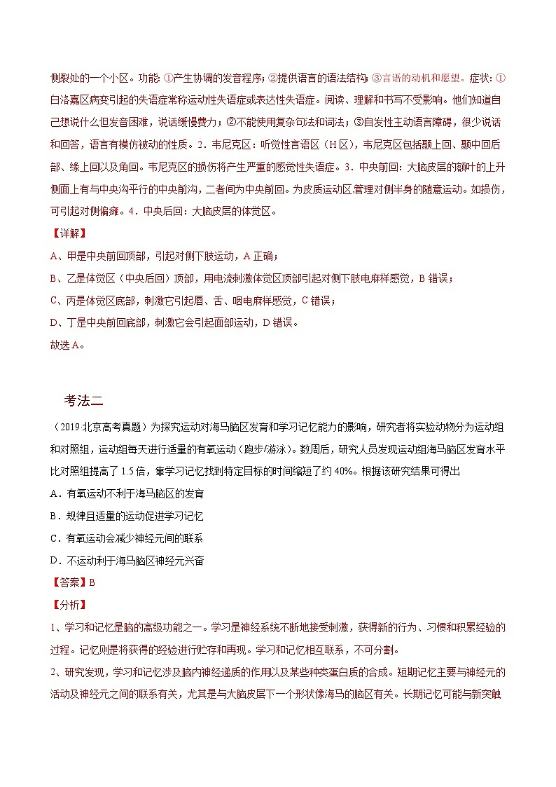 新高考生物二轮复习讲义16 神经调节(含解析)第3页