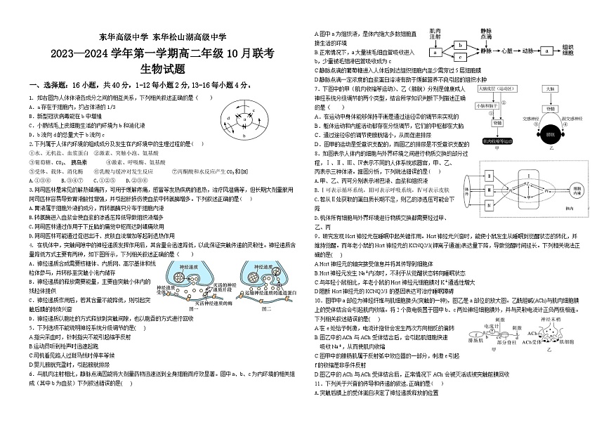 廣東省東莞市東華高級(jí)中學(xué)、東華松山湖高級(jí)中學(xué)2023-2024學(xué)年高二生物上學(xué)期10月聯(lián)考試題（Word版附答案）第1頁