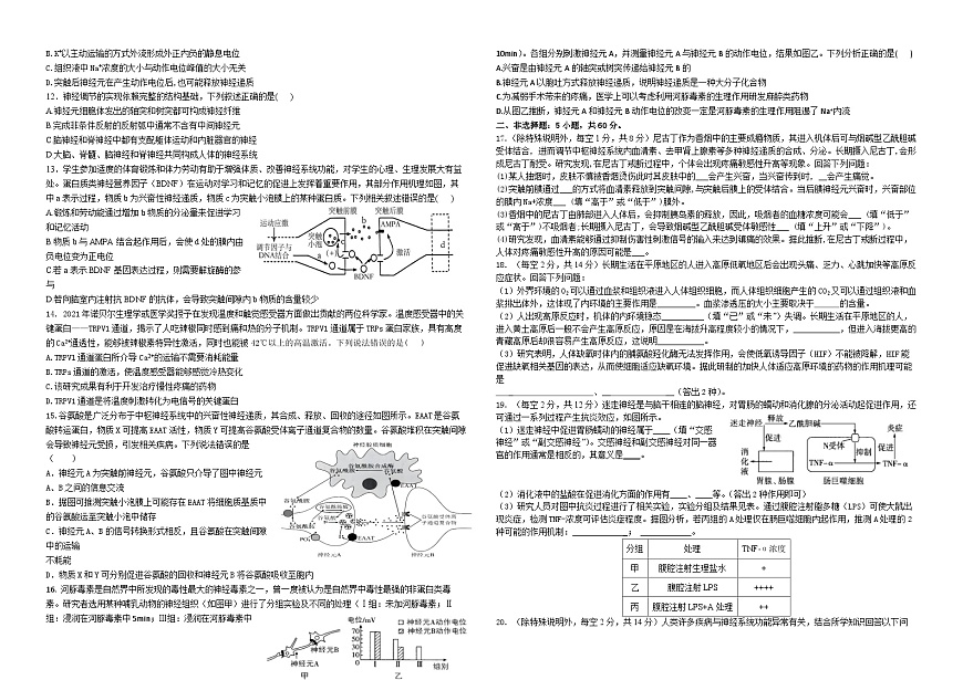 廣東省東莞市東華高級(jí)中學(xué)、東華松山湖高級(jí)中學(xué)2023-2024學(xué)年高二生物上學(xué)期10月聯(lián)考試題（Word版附答案）第2頁