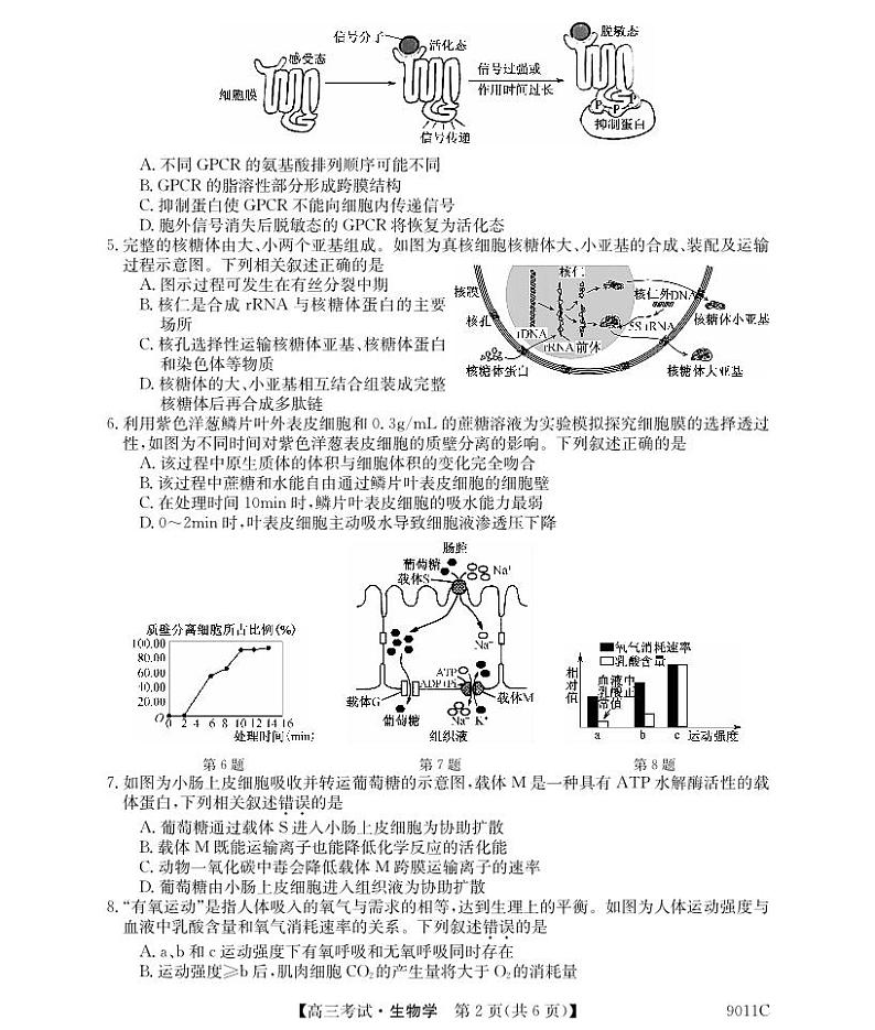 黑龙江省牡丹江市第二高级中学2023-2024学年高三生物上学期第二次阶段性考试试卷(PDF版附解析)02