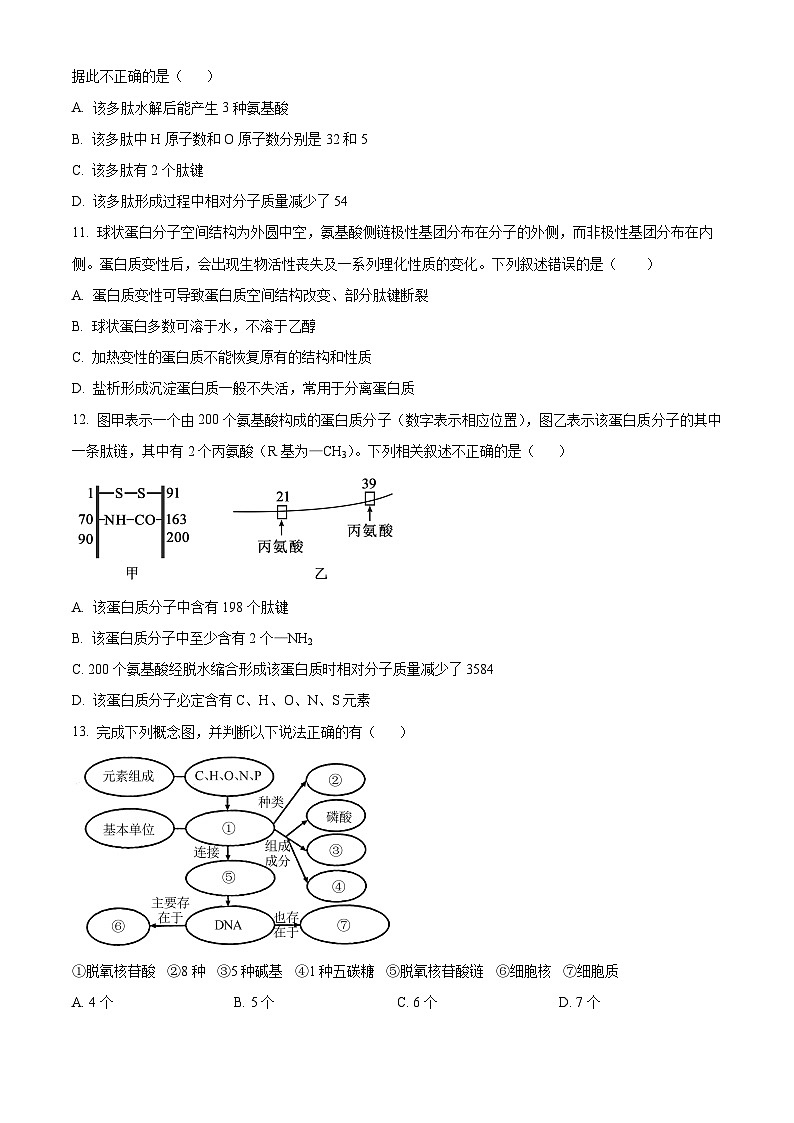 湖北省沙市中学2023-2024学年高一生物上学期10月月考试题(Word版附解析)03