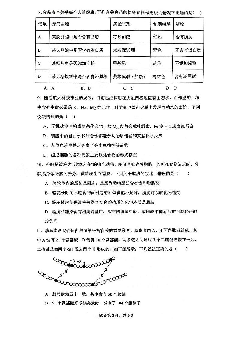 广东实验中学深圳学校2023-2024学年高一上学期第一次段考生物试题第3页