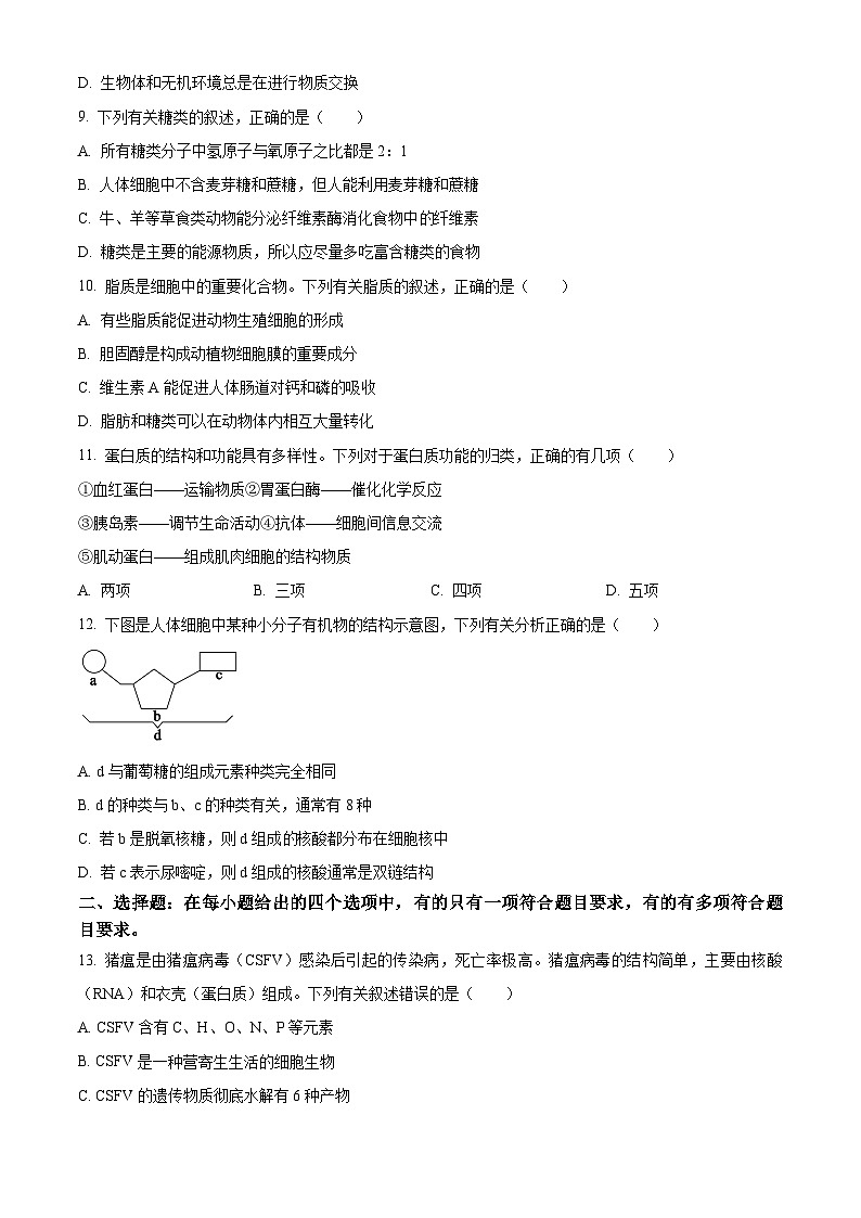 湖南省郴州市一中2023-2024学年高一10月月考生物试题(原卷版)第3页
