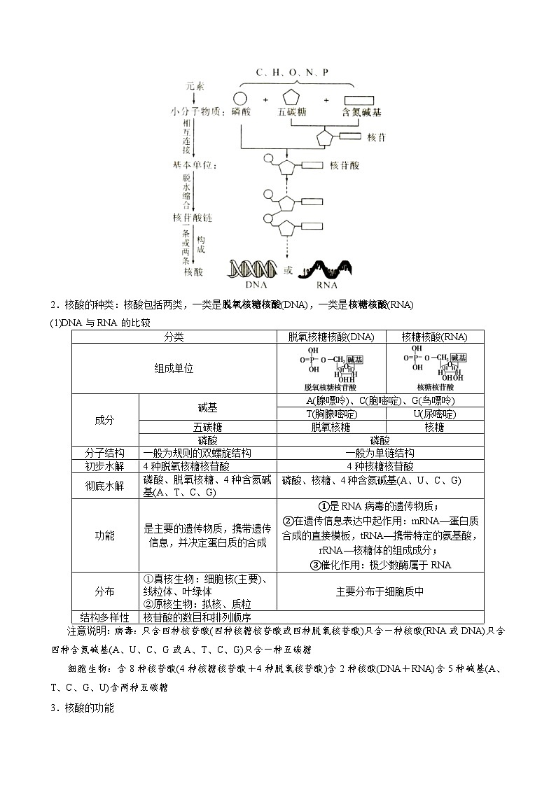 新高考生物一轮复习精品讲义第3讲 组成细胞的有机化合物(含解析)第3页