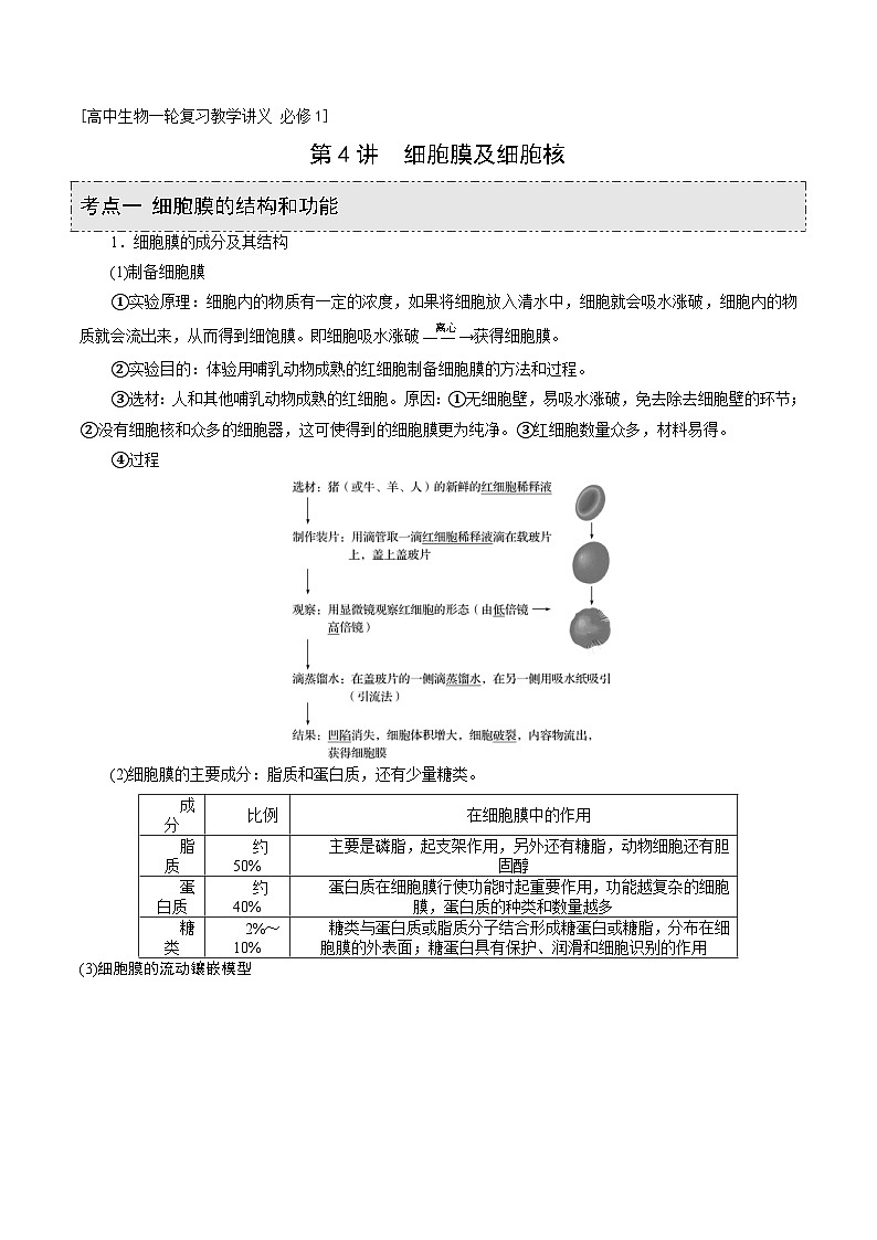 新高考生物一轮复习精品讲义第4讲 细胞膜及细胞核(含解析)第1页