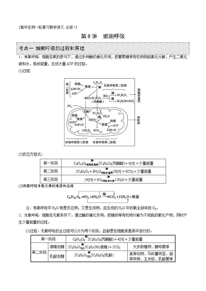 新高考生物一轮复习精品讲义第8讲 细胞呼吸(含解析)第1页