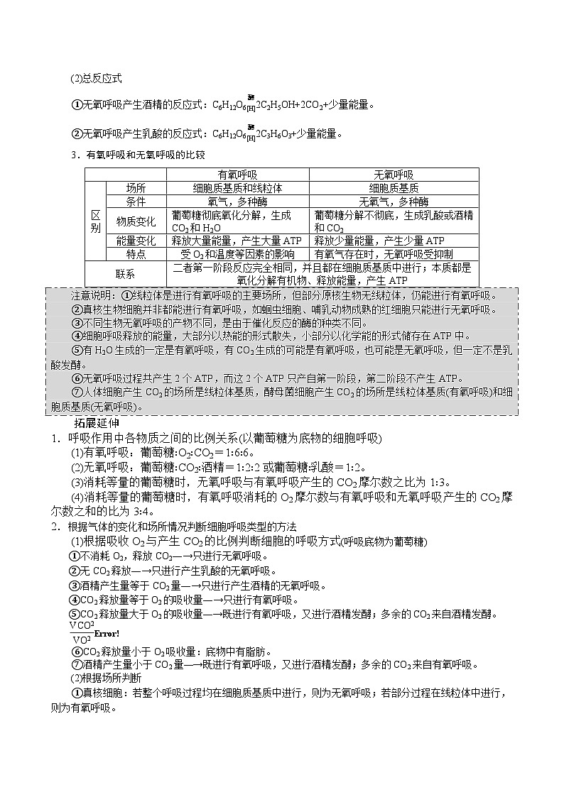 新高考生物一轮复习精品讲义第8讲 细胞呼吸(含解析)第2页