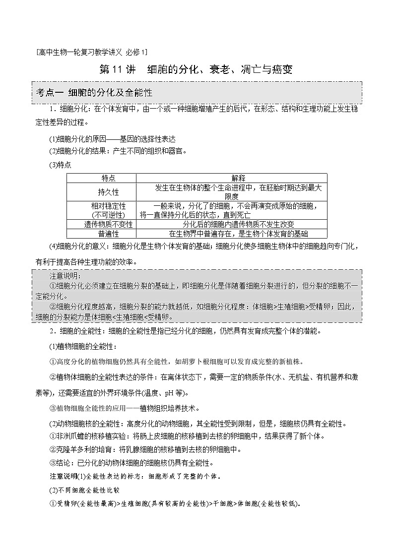 新高考生物一轮复习精品讲义第11讲 细胞的分化、衰老、凋亡与癌变(含解析)第1页