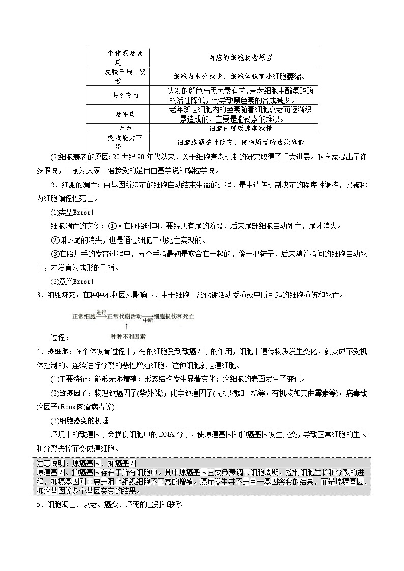 新高考生物一轮复习精品讲义第11讲 细胞的分化、衰老、凋亡与癌变(含解析)第3页