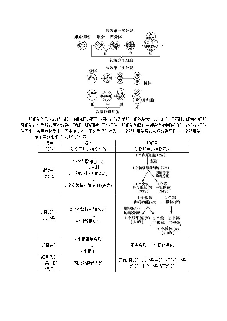 新高考生物一轮复习精品讲义第12讲 减数分裂与受精作用(含解析)第2页
