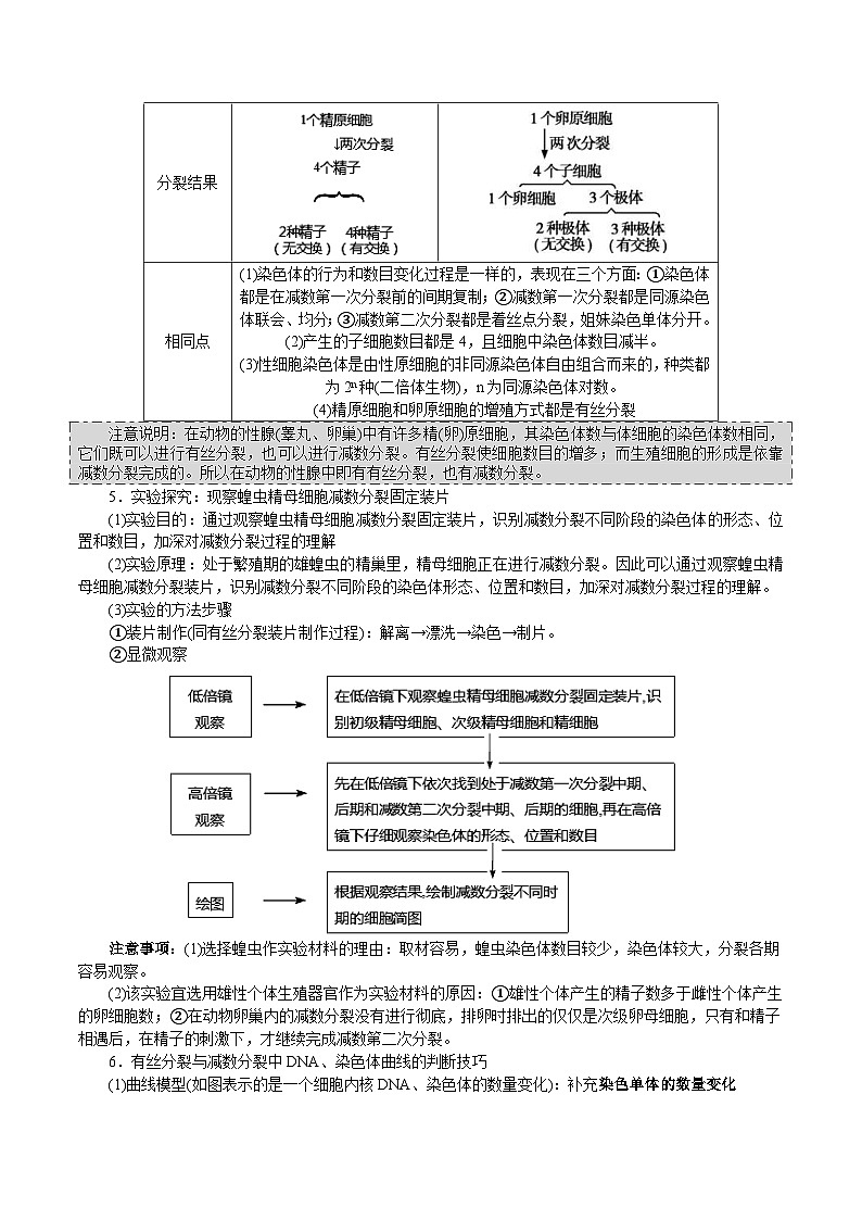 新高考生物一轮复习精品讲义第12讲 减数分裂与受精作用(含解析)第3页