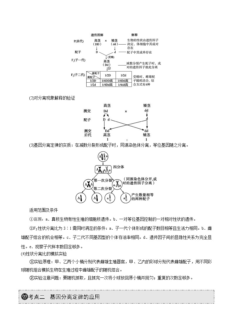 新高考生物一轮复习精品讲义第13讲 基因的分离定律(含解析)第2页