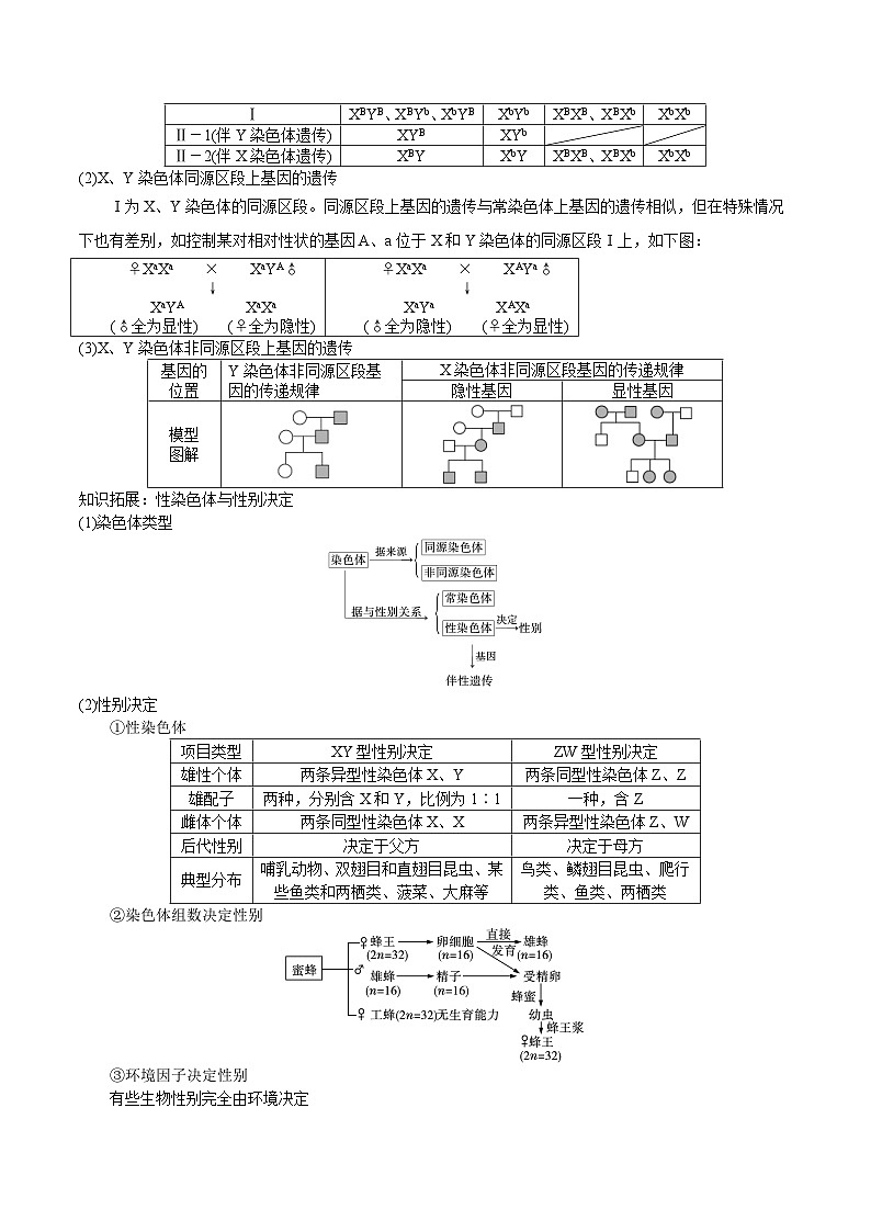 新高考生物一轮复习精品讲义第15讲 伴性遗传、人类遗传病(含解析)第2页
