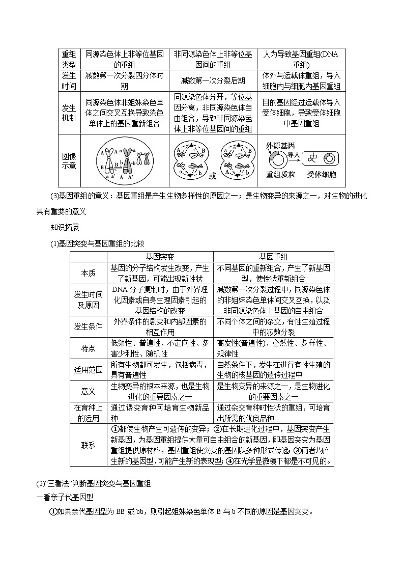 新高考生物一轮复习精品讲义第18讲 生物的变异、育种(含解析)第3页