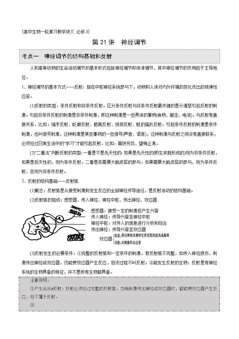 新高考生物一轮复习精品讲义第21讲 神经调节(含解析)第1页