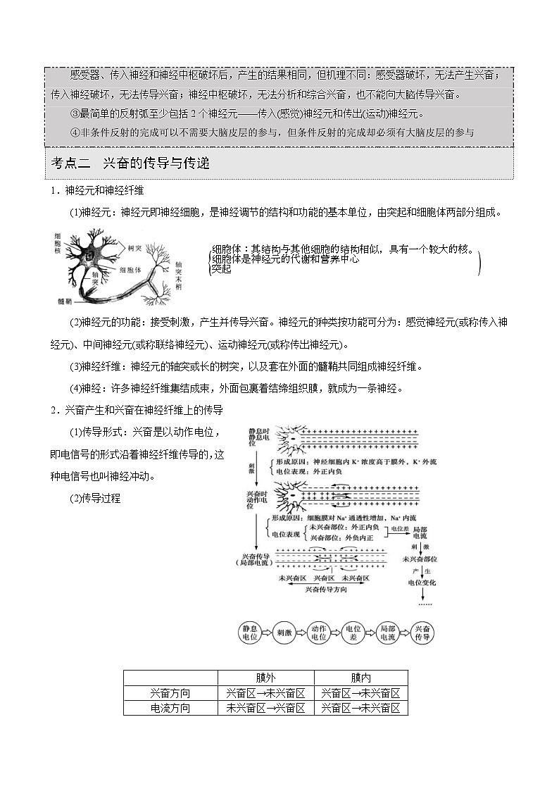 新高考生物一轮复习精品讲义第21讲 神经调节(含解析)第2页